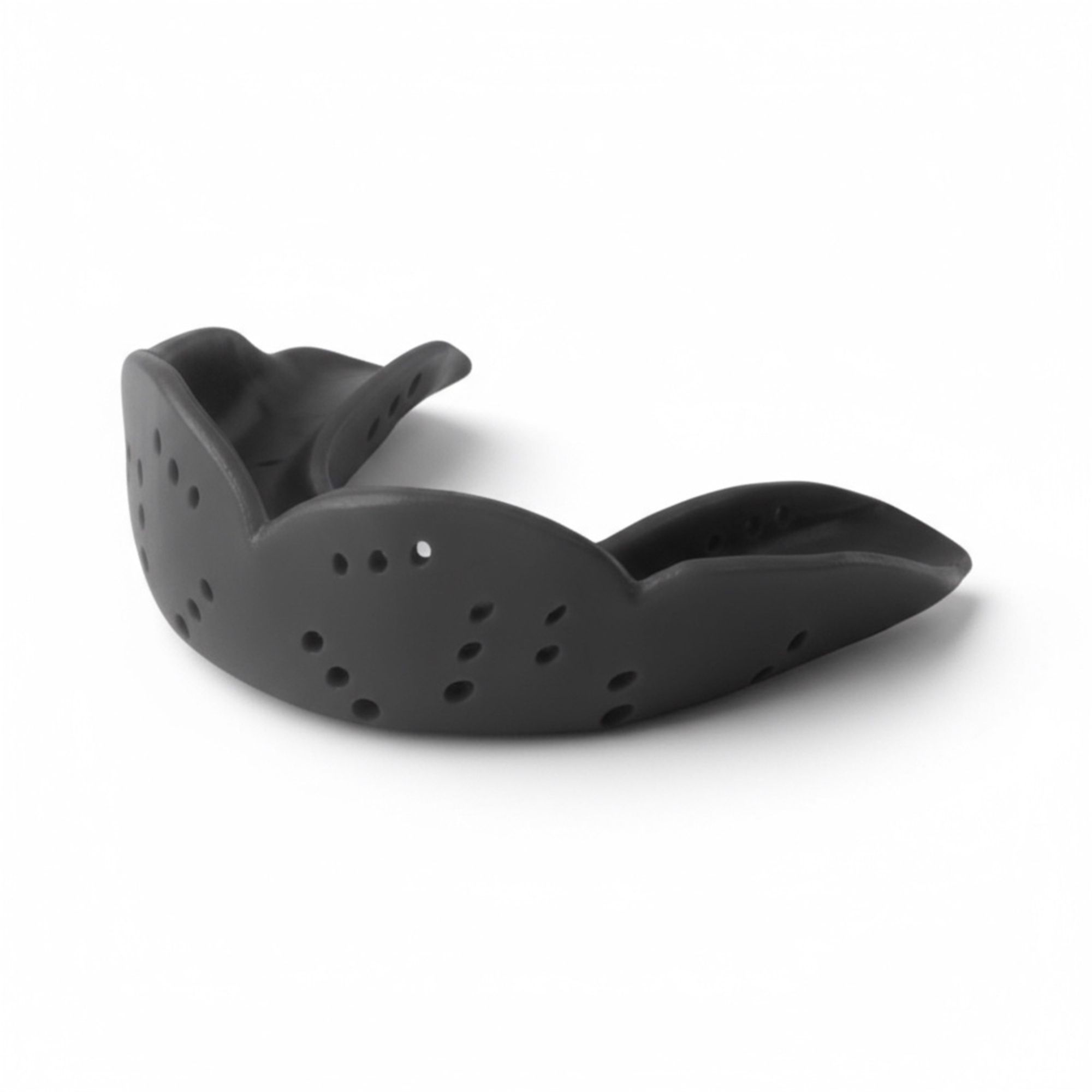 Sisu Aero Large tannbeskytter