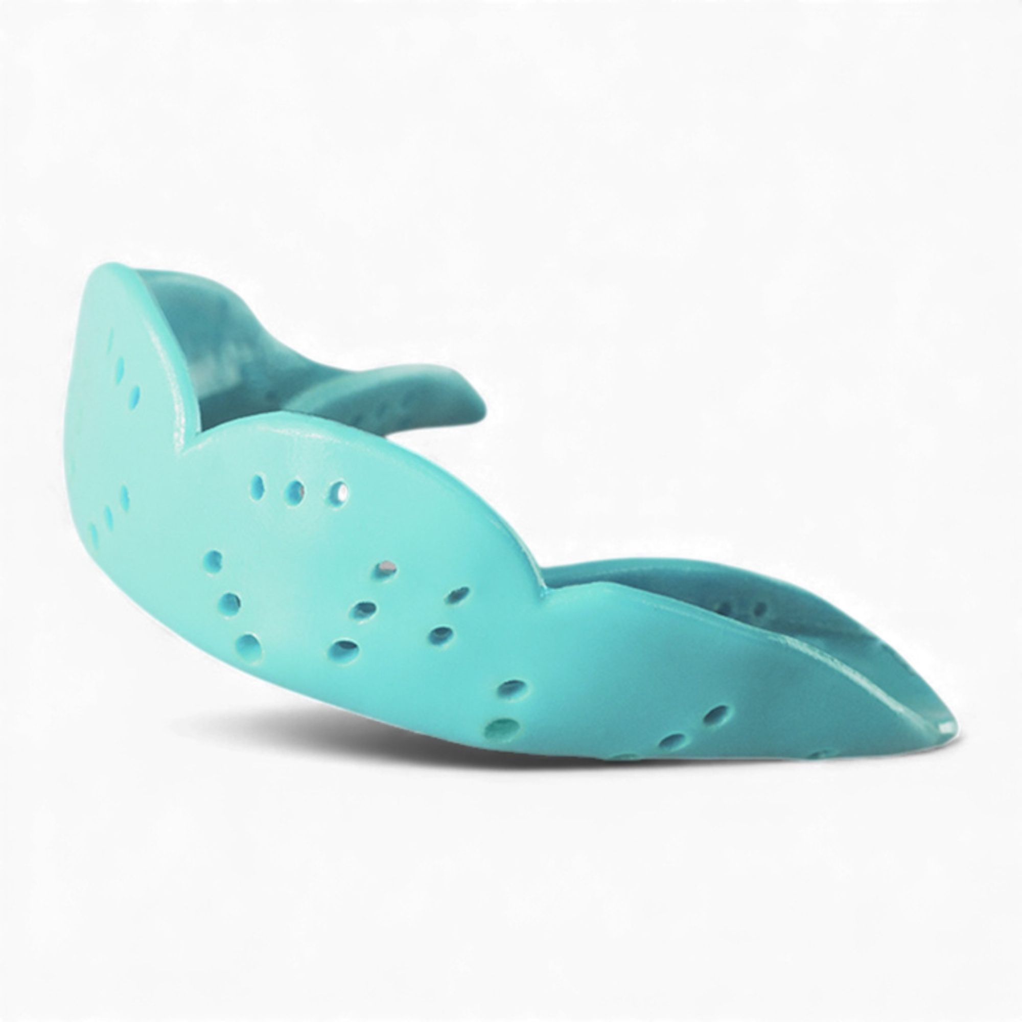 Sisu Aero Small tannbeskytter